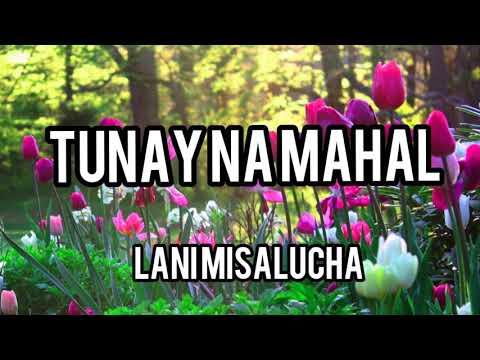 TUNAY NA MAHAL/ full music with lyrics/ by Lani Mesalucha