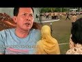 Videonya Nyaris Adu Mulut dengan Asisten III Viral, Wali Kota Prabumulih Klarifikasi Videonya Nyaris Adu Mulut dengan Asisten III Viral, Wali Kota Prabumulih Klarifikasi