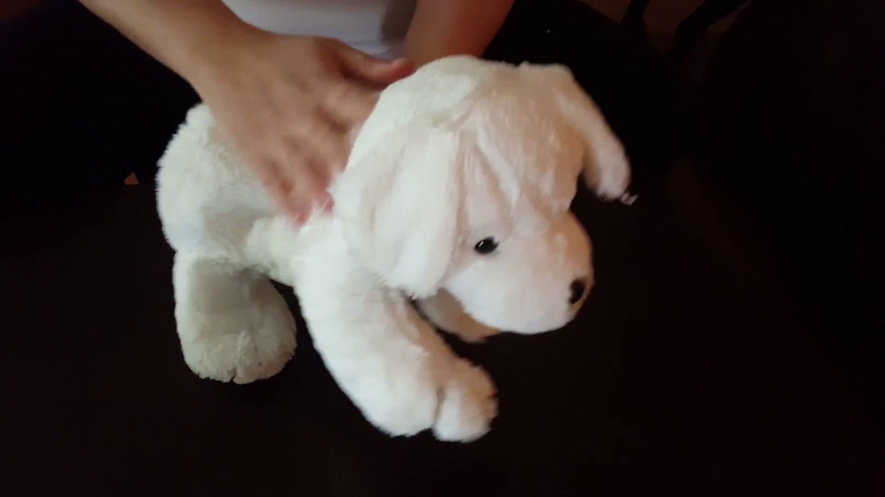 Watch video Peter Pan Hot Water Bottle with Dog Cover Now Peter Pan Hot Water Bottle with Dog Cover