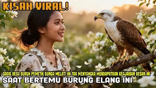 Download lagu VIRAL! GADIS DESA BURUH PEMETIK BUNGA MELATI MENDAPATKAN KEAJAIBAN BESAR SAAT BERTEMU BURUNG ELANG mp3