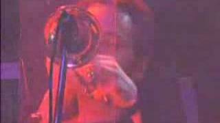 Taxi Boy - Los  Piojos