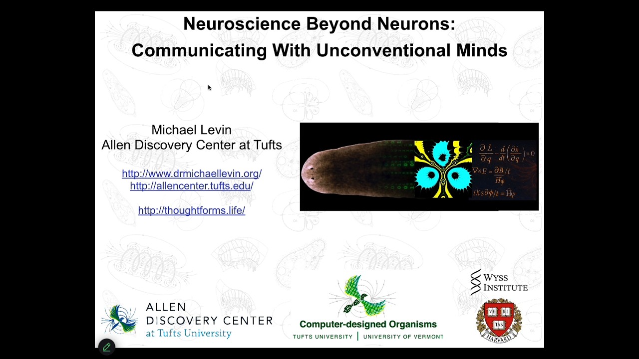 "Neuroscience Beyond Neurons: communicating with unconventional minds" by Michael Levin