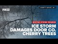 Ice Buildup Damages Cherry Orchard Trees In Door County