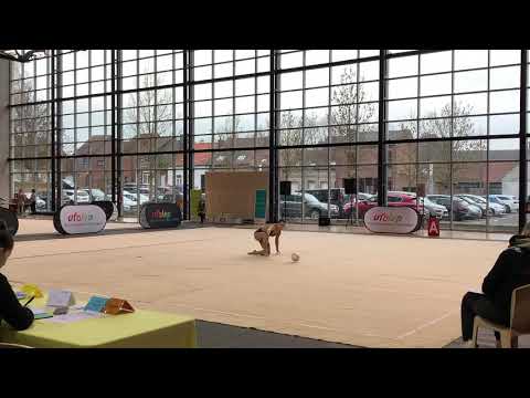 Individuel ballon honneur 17 et plus 2019