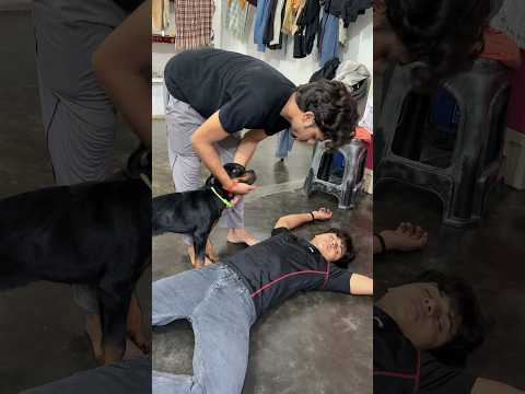 Baku का Noobda बेहोश हो गया 😨💀 #dog #vlog #minivlog #ashortaday