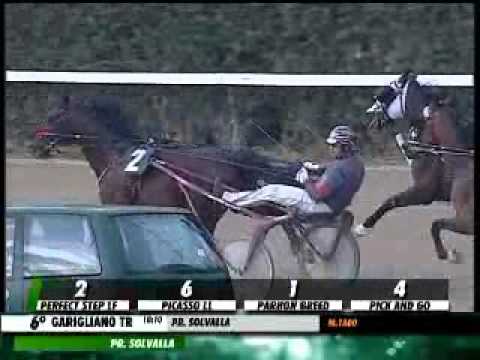 04/06/2013, Ss Cosma Damiano , Premio Solvalla