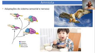 Origem dos Amniota - Parte I