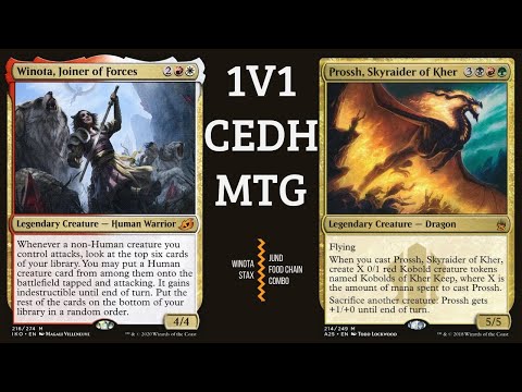 WINOTA, JOINER OF FORCES vs. PROSSH, SKYRAIDER OF KHER | CEDH COMMANDER 1v1 | ROUND 1