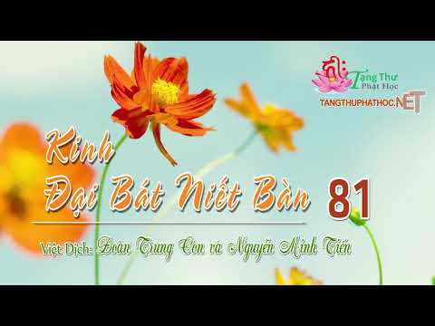 11. Phẩm Bồ Tát Sư Tử Hống Phần 6 -1