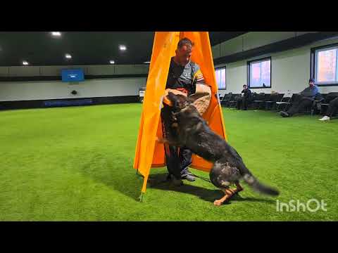 Ike de Lupus Saevus with Staatsmacht