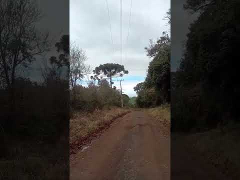 laranjeiras do Sul PR
