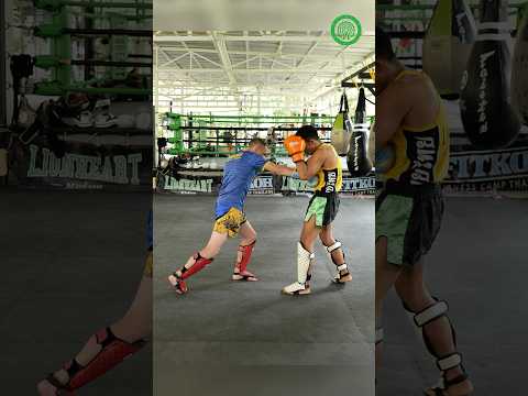 Muay Thai Training – Feinting the Lead Hand with Damien Trainor