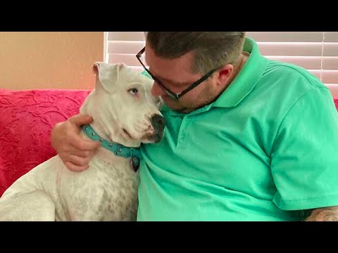 One word about my dog SPECIAL ❤️