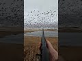 snow goose solo jump 2025