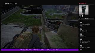全てルーターが悪い