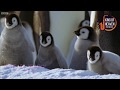 Ammai Appan Unthan Anpnirantharam 8D Christian Song
