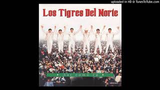 Los Tigres Del Norte - Pajaro En Mano (1997)