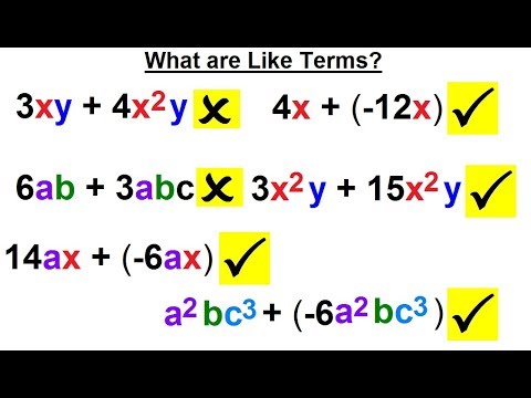 Algebra Ch 0 6 Basic Concepts 1 of 36 What are the Number Sets