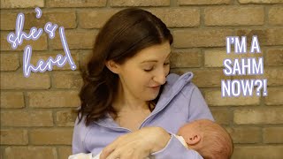 QUARTERLY LIFE + DECLUTTER UPDATE // Newborn Life, Stay-at-Home Mom Transition, Used-Up Products