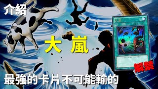 [豆哥] 大嵐解禁