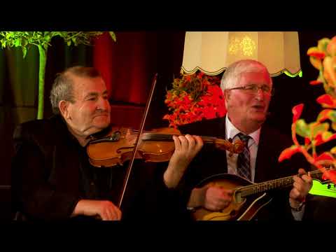 Ashikët - Lule bukur porsi dielli