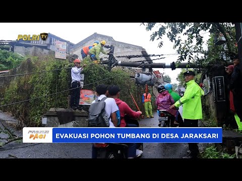 POLSEK WONOSOBO BANTU EVAKUASI POHON TUMBANG DI JARAKSARI