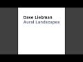 Aural Landscape 3