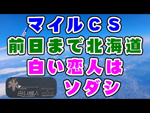【競馬】マイルチャンピオンシップ2022　北海道と言えば白い恋人＝ソダシ