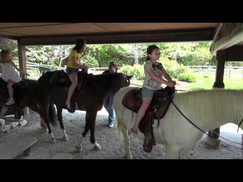 2011 05 08 HD Fort Wayne Zoo highlights