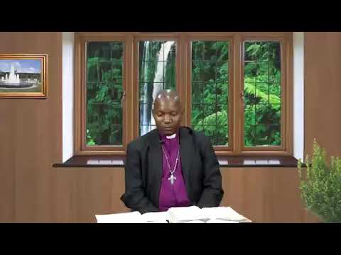 THE DAILY FOUNTAIN OF AUGUST 23, 2017