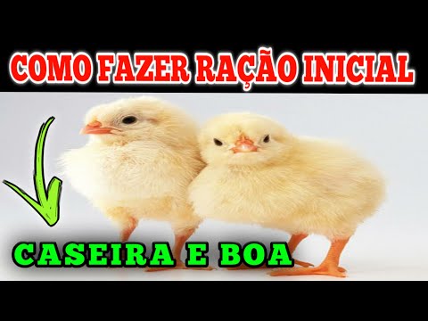 , title : 'COMO fazer RAÇÃO INICIAL BARATA|caseira|ração  inicial para aves/pintinho, periquito, calopsita'