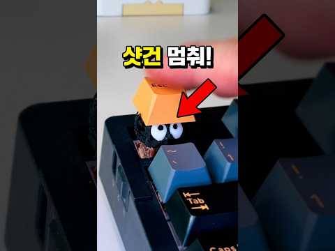 키보드 샷건 치는 습관 1초 만에 고치는 법 ㅋㅋㅋ #호기심 #실험 #키보드