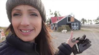 VLOGMAS 2023: DAY 6 - THIS IS THE WORST PART OF OWNING YOUR OWN HORSE FARM