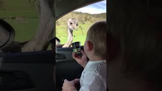 Miniature vidéo