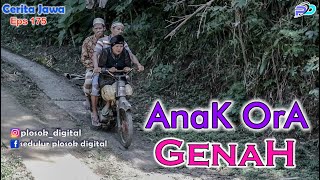 Download lagu ANAK ORA GENAH || Eps 175 || Cerita Jawa mp3 Download lagu ANAK ORA GENAH || Eps 175 || Cerita Jawa mp3