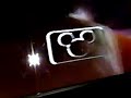 Disney Channel Screen Bug June 1995