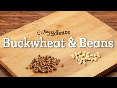 Cooking with Science | Episode 5: Buckwheat & Beans - Maltagliati Pasta