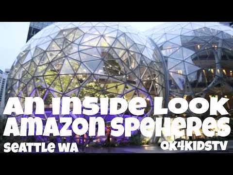 Seattle Travel with Family Amazon Spheres | Seattle Amazon Spheres Seattle Top to Bottom Tour