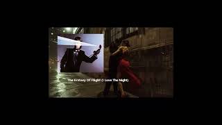 Chris De Burgh - The Ecstasy Of Flight (I Love The Night)