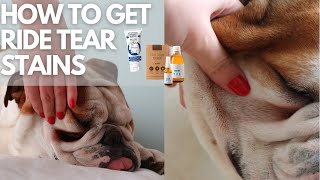 How To Get Rid Of Tear Stains On Dogs - Before and After