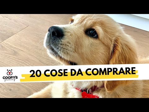 Arriva il cucciolo? Ecco la lista delle 20 cose da comprare per accoglierlo al meglio