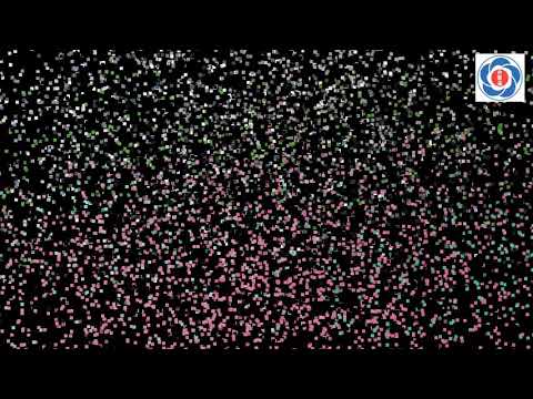 Aikido Aikikai Saudi Arabia