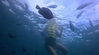 한국 친구가 나트랑 해변에서 수영을 하러 갔어요.