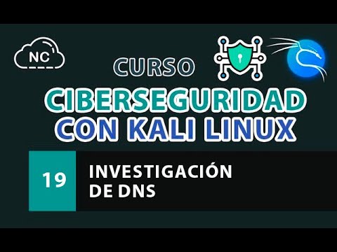 Curso de Ciberseguridad con Kali Linux Análisis de Endpoints de API