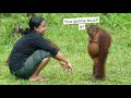 Hood Animal Voiceovers August 5 2022