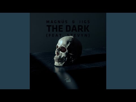 The Dark (feat. Stevyn)