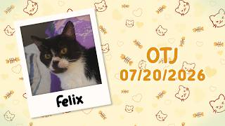 Felix is OTJ! ♡ 07/20/2026