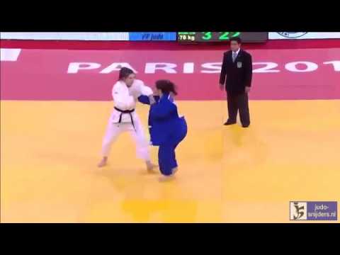 Judo 2014 Grand Slam Paris: Steenhuis (NED) - Bleier (USA) [-78kg]