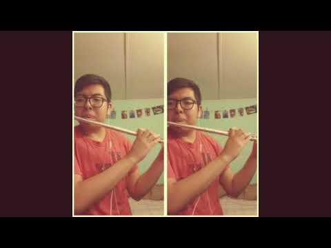 La Bicicleta Flauta Cover Carlos Vives y Shakira | PiccFlautista