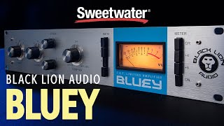 Video thumbnail for Black Lion Audio Bluey FET Limiting Amplifier Overview by Sweetwater